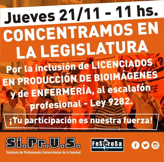 Inclusión de Lic. en Producción de Bioimágenes y de Enfermería al escalafón 9282