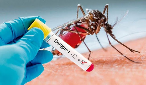 Comunicado de prensa: Santa Fé es un hervidero de Dengue.