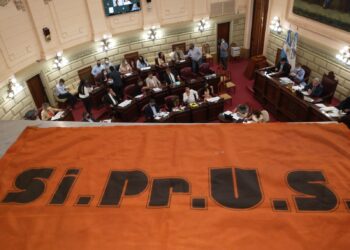 La cámara de diputados rechazó los descuentos y aprobó la excepción en los pases a planta.