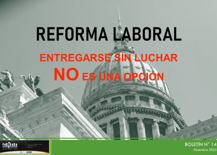 Boletín N° 14/2025