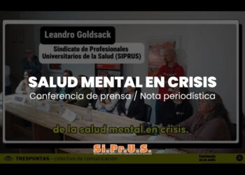 Salud Mental en Crisis – Nota periodística